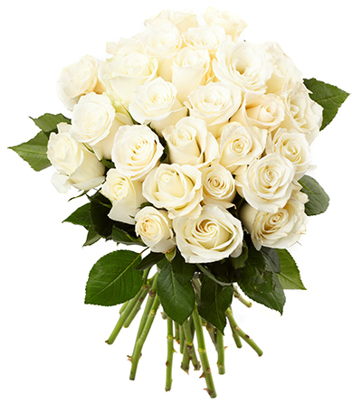 White Roses
